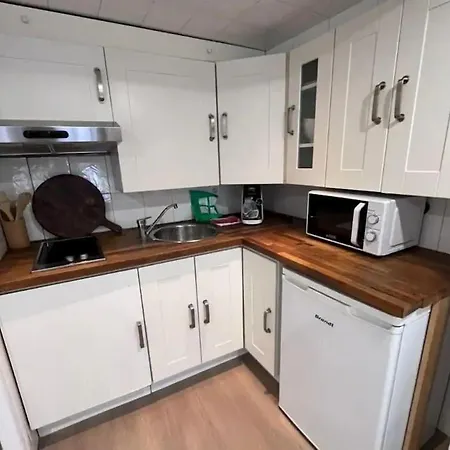 Le Bayard Appartement Renove En Centre Ville Grenoble Esterno foto